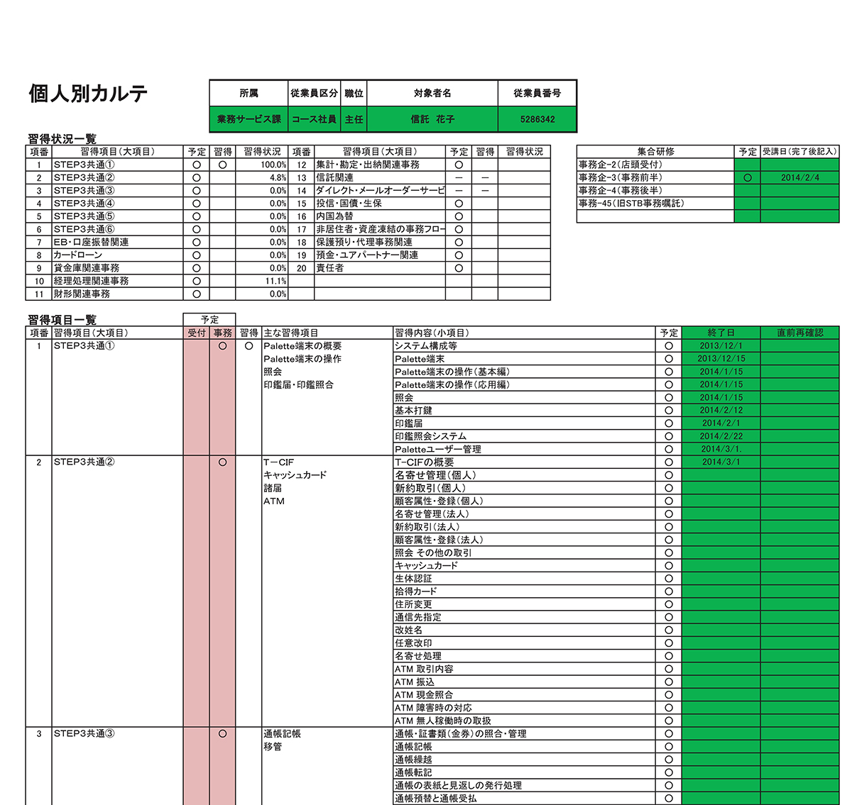 個人別カルテ(部分)