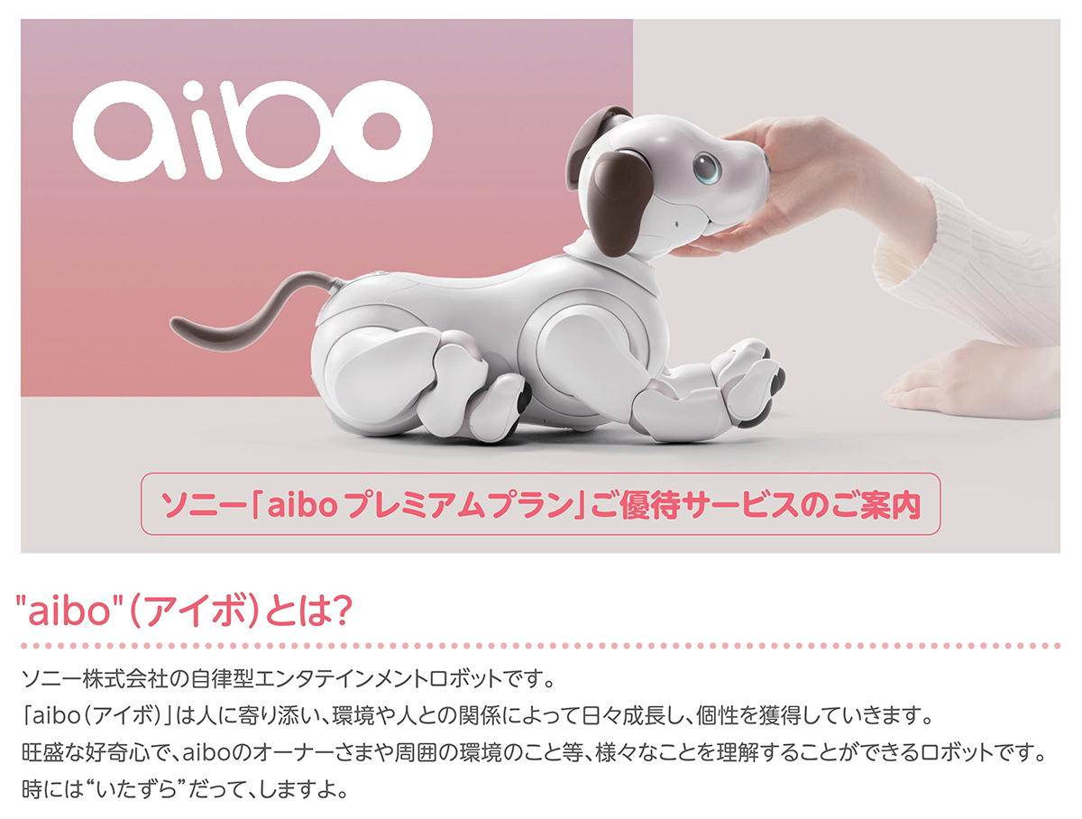 「aiboプレミアムプラン」パンフレットより