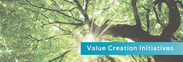 Value Creation Initiatives